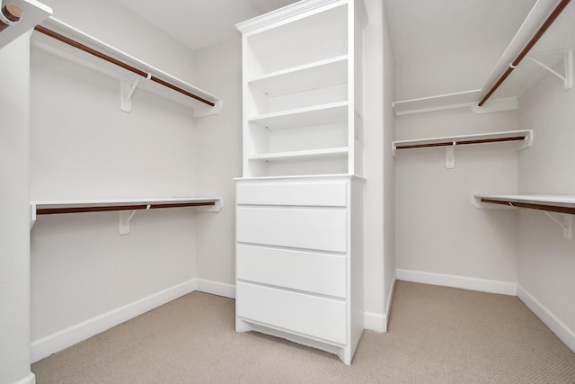 spacious closet with light carpet