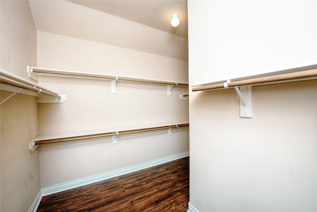 walk in closet with dark wood-type flooring