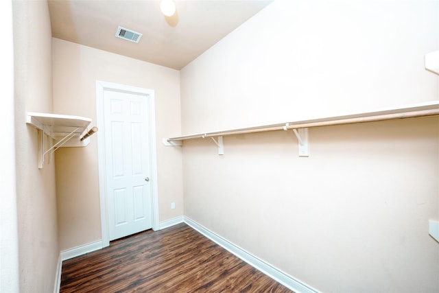 walk in closet featuring dark wood-type flooring