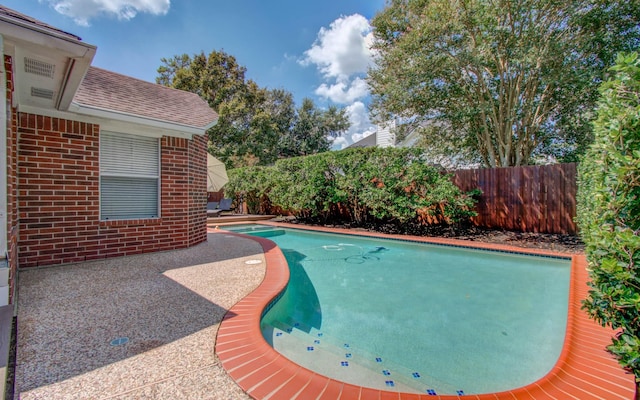 view of pool featuring a patio