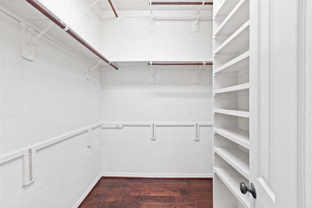 spacious closet featuring dark wood-type flooring