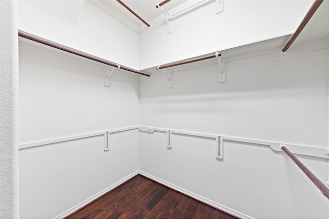 spacious closet featuring dark wood-type flooring