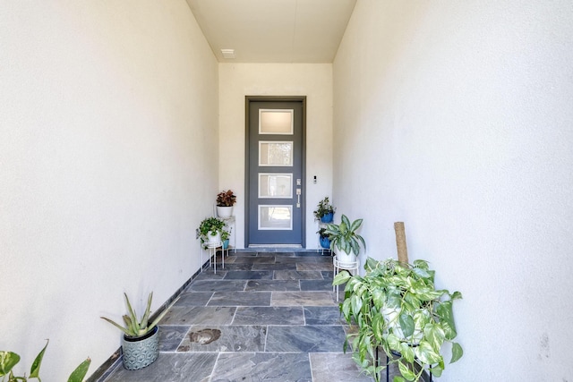 view of exterior entry with stucco siding