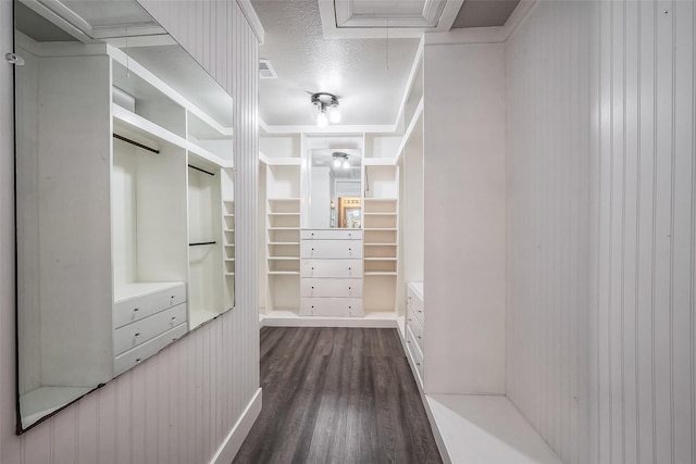 walk in closet featuring dark hardwood / wood-style flooring