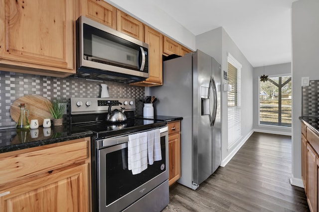 kitchen featuring dark hardwood / wood-style flooring, decorative backsplash, stainless steel appliances, and dark stone countertops