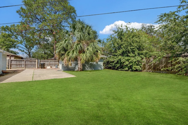 view of yard with a patio area