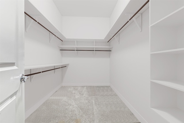 walk in closet featuring light carpet