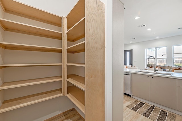 pantry with visible vents and a sink