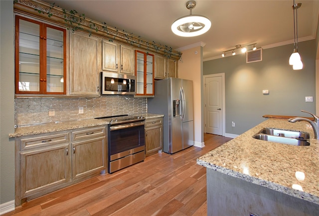 kitchen with sink, stainless steel appliances, light stone counters, ornamental molding, and decorative light fixtures