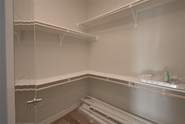 walk in closet with hardwood / wood-style floors