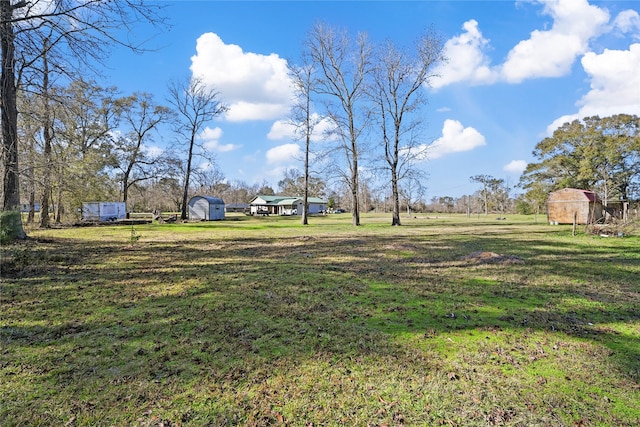 view of yard featuring a shed