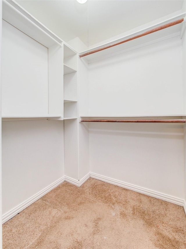 walk in closet featuring carpet