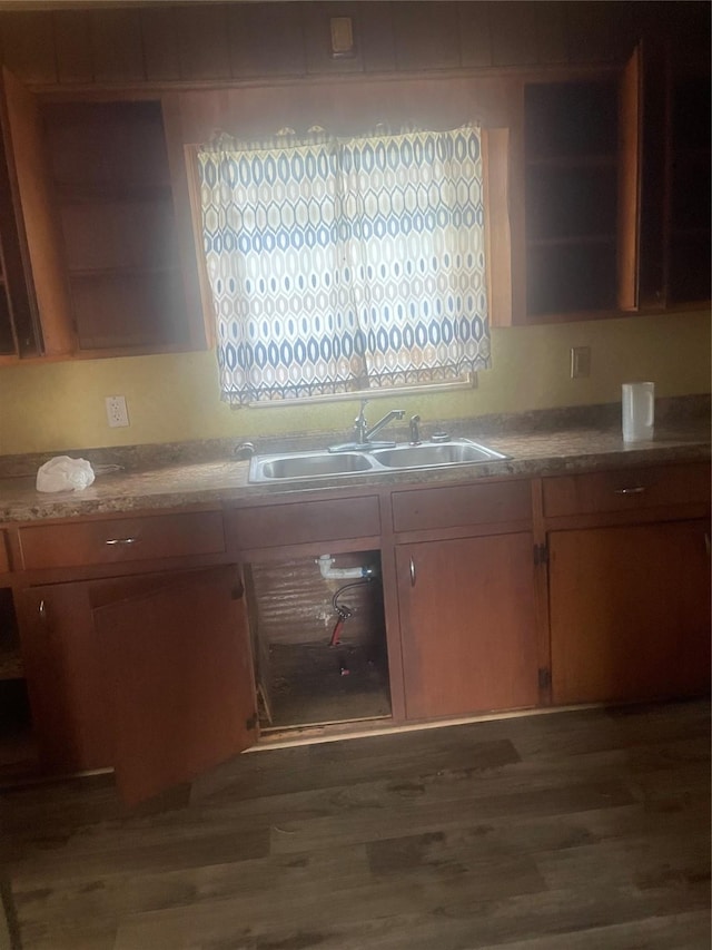 kitchen featuring sink and dark wood-type flooring