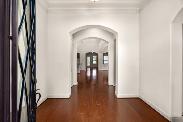 hall with dark hardwood / wood-style flooring and crown molding