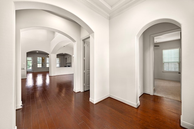 hall with dark wood-type flooring, ornamental molding, and a healthy amount of sunlight