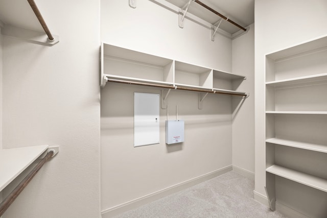 spacious closet featuring light carpet