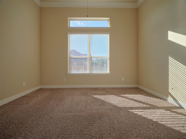 carpeted empty room with ornamental molding