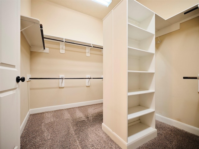 spacious closet with carpet floors