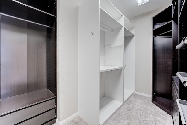 spacious closet with light colored carpet