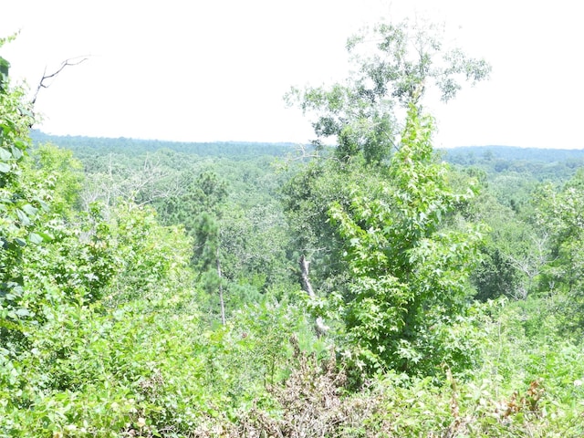 Listing photo 3 for TBD4 Snowhill Rd, Coldspring TX 77331