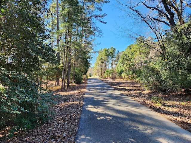 view of road