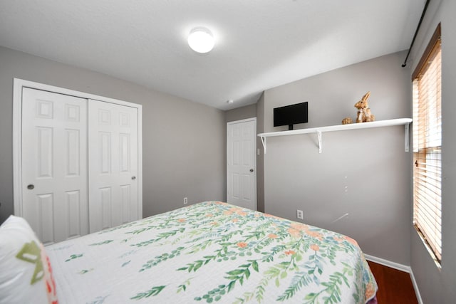 bedroom with multiple windows, a closet, and dark hardwood / wood-style floors