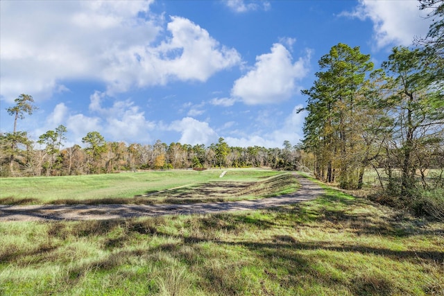 view of landscape