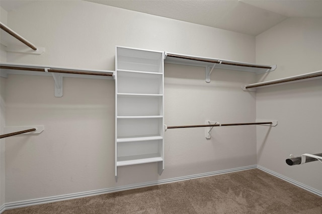 walk in closet with vaulted ceiling and carpet