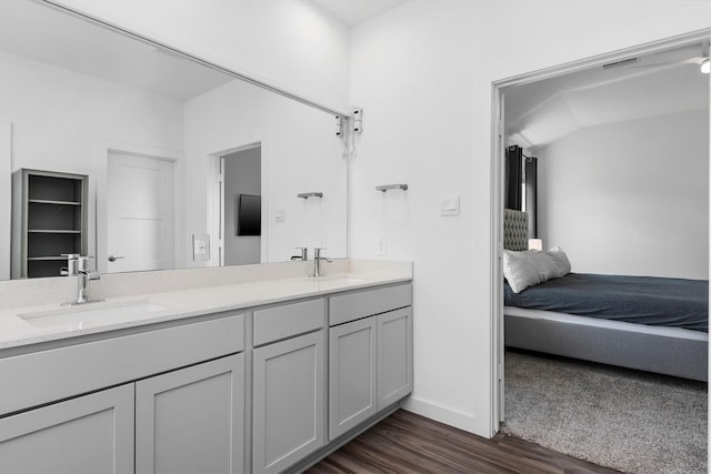 bathroom featuring vanity and hardwood / wood-style floors