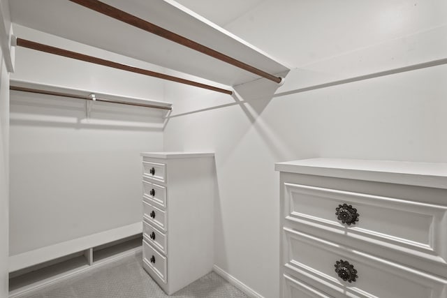 spacious closet featuring light carpet