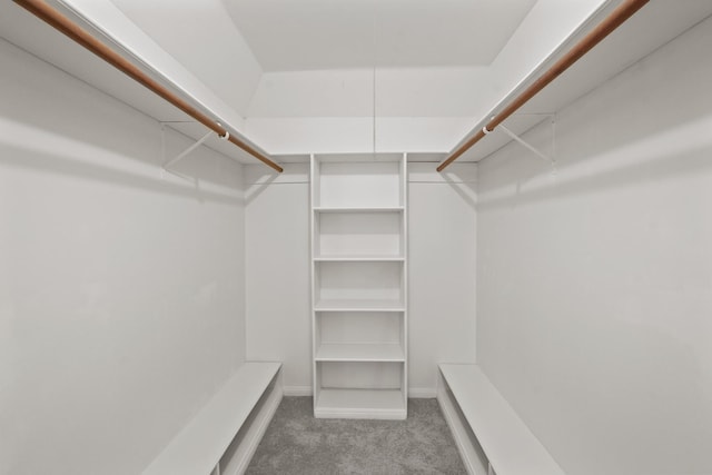 spacious closet featuring carpet floors