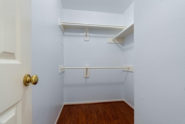 walk in closet with hardwood / wood-style flooring