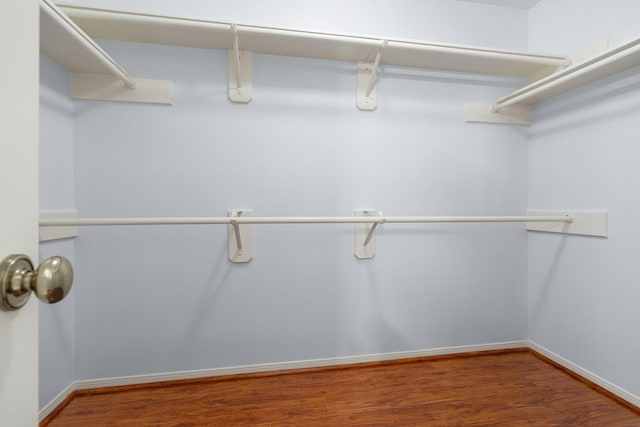 spacious closet with wood-type flooring