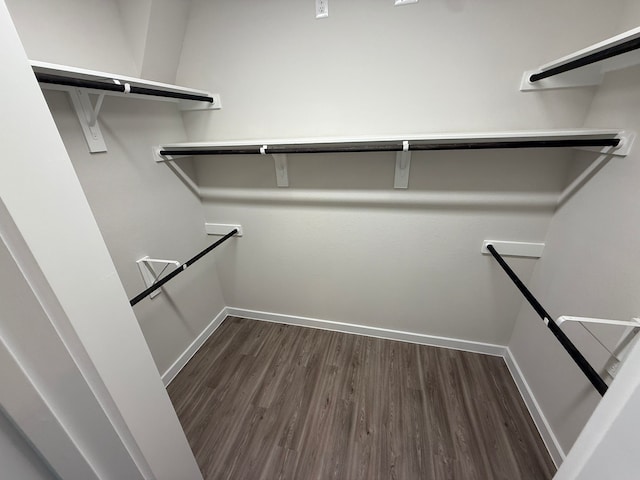 walk in closet featuring dark hardwood / wood-style floors