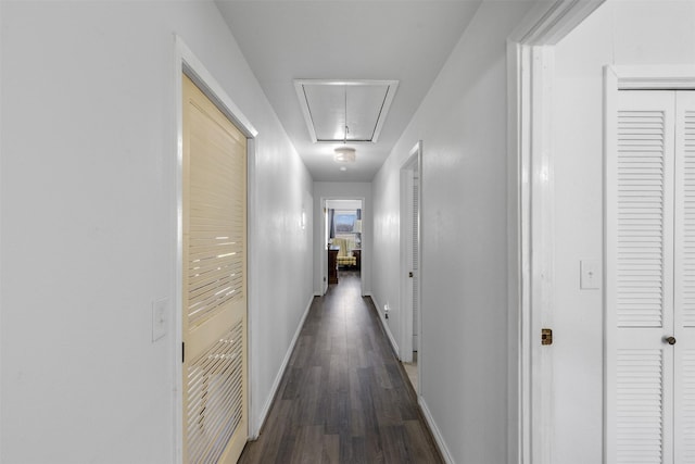 hallway featuring dark hardwood / wood-style floors