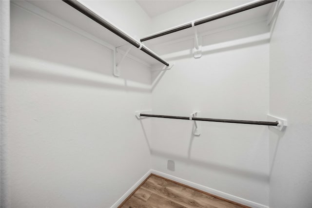 spacious closet with wood-type flooring