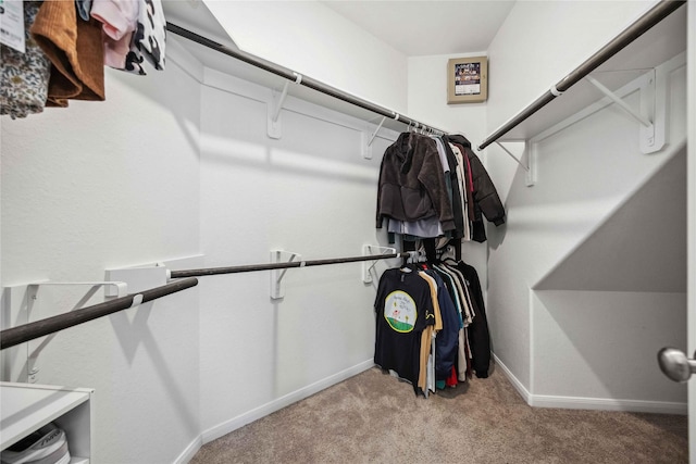 spacious closet with carpet