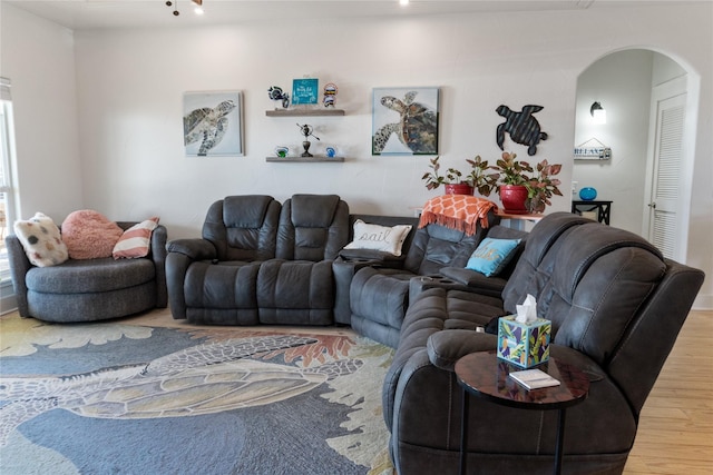 living room with wood-type flooring