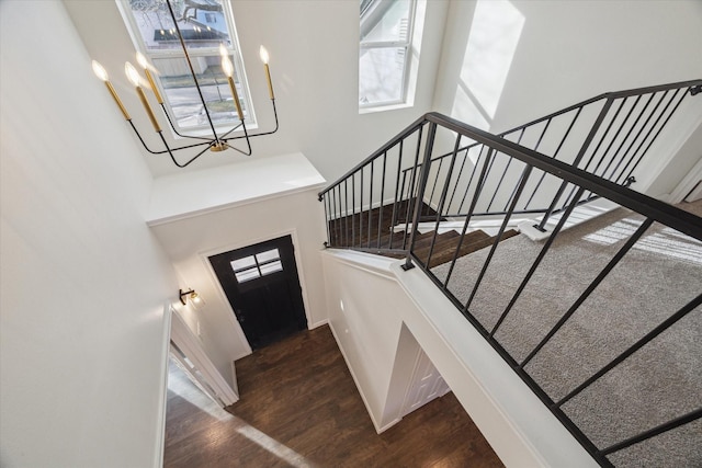 foyer featuring dark hardwood / wood-style flooring and a high ceiling