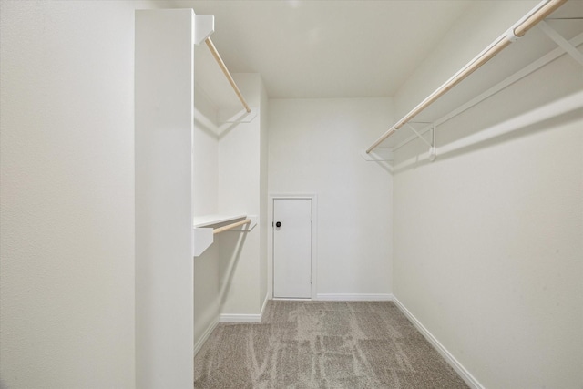 spacious closet featuring light carpet