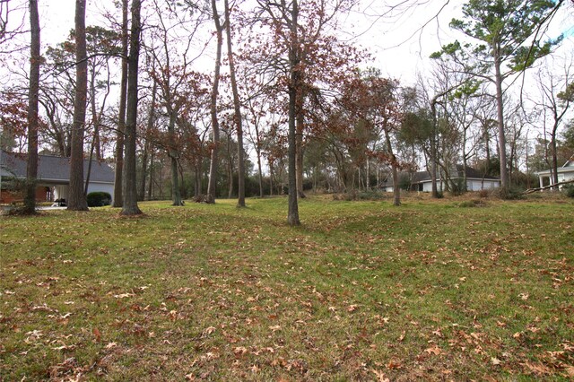 122 Kings Way, Coldspring, TX 77331