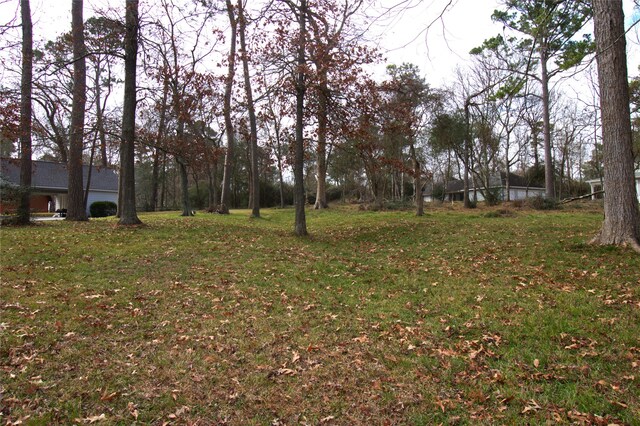 122 Kings Way, Coldspring, TX 77331