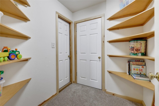 entryway featuring light colored carpet