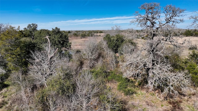 Listing photo 2 for 4619 Andreas Rd, Round Top TX 78954