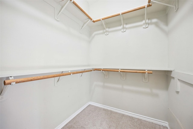 spacious closet featuring carpet