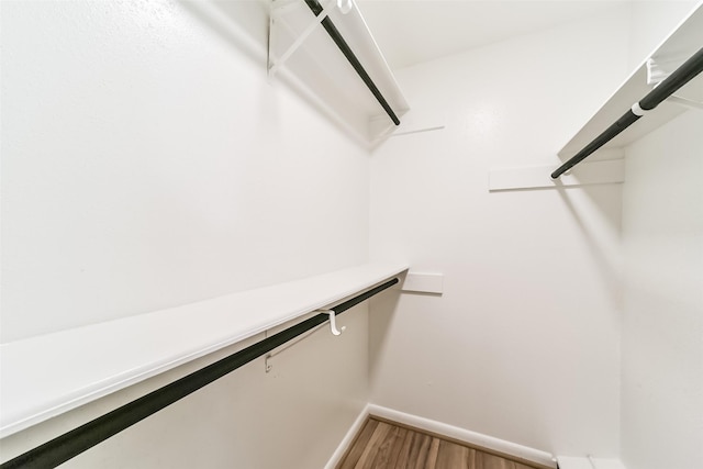 spacious closet featuring hardwood / wood-style flooring