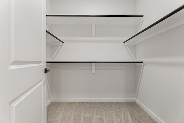 spacious closet with carpet flooring