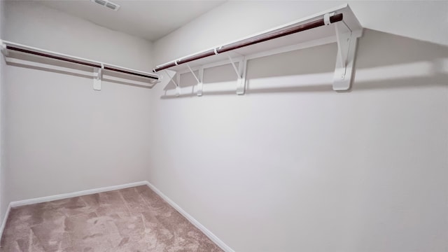 spacious closet with light colored carpet