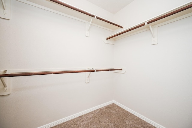 walk in closet with carpet flooring