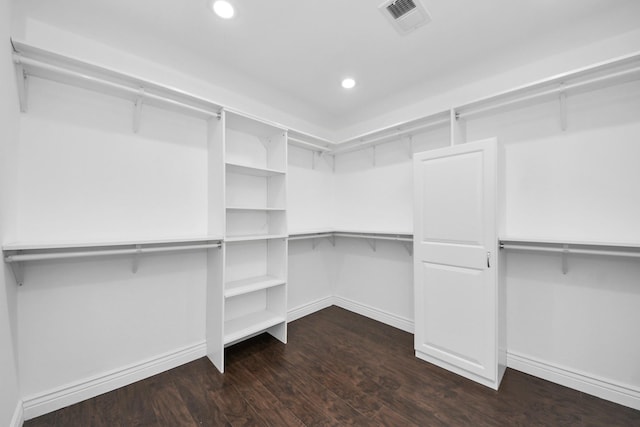 walk in closet with dark hardwood / wood-style flooring